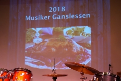 A001_MusikerGanslessen11-2018_18